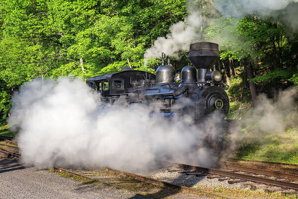Cass Scenic Railroad Art Print featuring the photograph Cass Shay 11 by Mary Almond