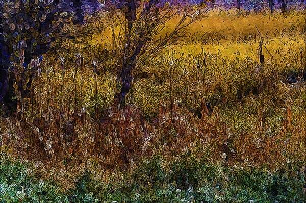 Photography Art Print featuring the photograph Cattails in Molly's Field by Lisa Holland-Gillem