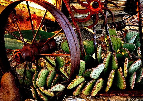Wagon Wheel Art Print featuring the photograph Caught in a Cactus Patch-SOLD by Antonia Citrino