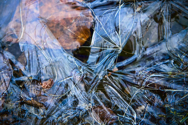 Abstract Art Print featuring the photograph Caught in Ice by Michele Cornelius