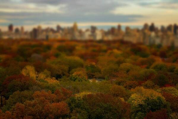 Central Park Art Print featuring the photograph Central Park in Autumn by Kathleen Odenthal