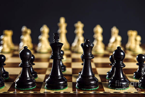 Chess Art Print featuring the photograph Chess pieces on board 2 by Elena Elisseeva