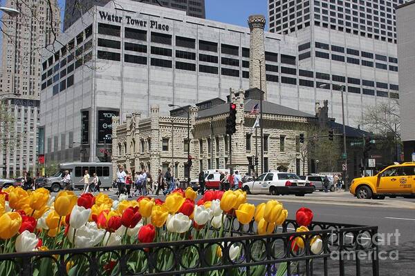 Chicago Art Print featuring the photograph Chicago at Spring Time by Alice Terrill