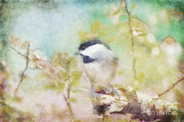 Chickadee Art Print featuring the photograph Chickadee and the Hiding Caterpillar - Digital Paint 4 by Debbie Portwood