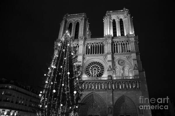 Cathedral Art Print featuring the photograph Christmas tree in front of the Notre Dame cathedral in the night. Paris. Black and white. by Elena Dijour