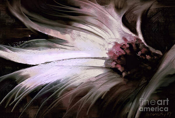 Chrysanthemum Art Print featuring the painting Chrysanth by Shanina Conway