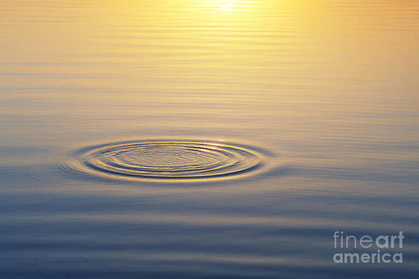 Water Ripple Art Print featuring the photograph Circles at Sunrise by Tim Gainey