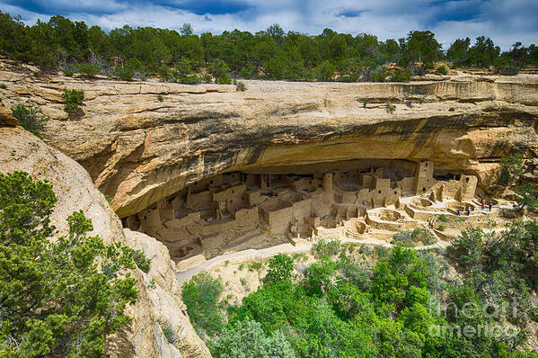 Usa Highlights Art Print featuring the photograph Cliff Palace by Juergen Klust