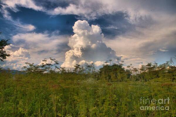 Landscape Art Print featuring the photograph Clouds In A Field by David Call