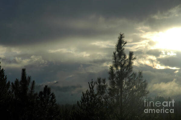 Sky Art Print featuring the photograph 706P Clouds by NightVisions