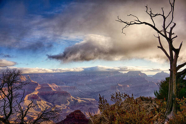 Grand Canyon Art Print featuring the photograph Clouds Over Canyon by Lisa Spencer