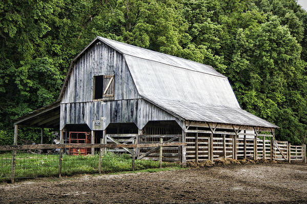 Barn Art Print featuring the photograph Clubhouse Road Barn by Cricket Hackmann