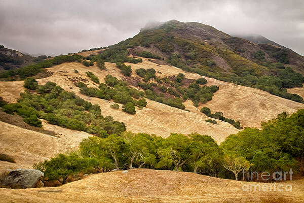 California Art Print featuring the photograph Coast Hills by Alice Cahill
