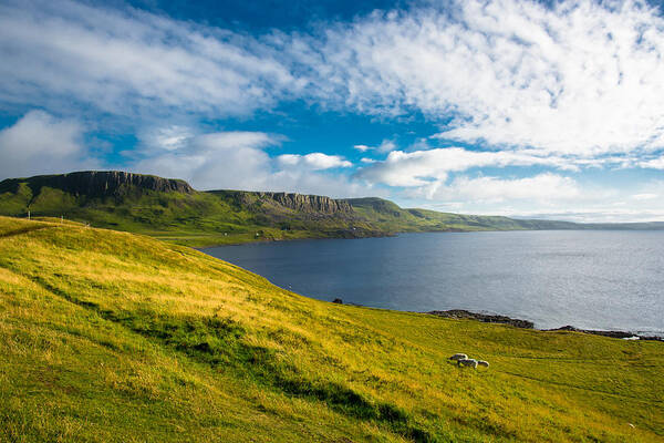 Scotland Art Print featuring the photograph Coast Of Scotland by Andreas Berthold