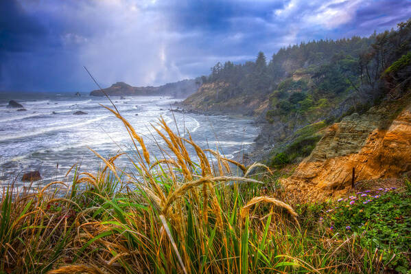 Clouds Art Print featuring the photograph Coastal Oregon by Debra and Dave Vanderlaan