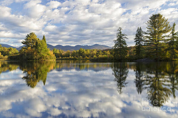 Coffin Pond Art Print featuring the photograph Coffin Pond - Sugar Hill, New Hampshire #2 by Erin Paul Donovan