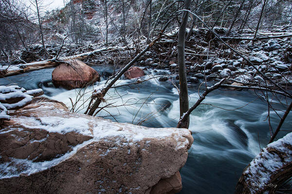 Landscape Art Print featuring the photograph Cold Drift by Bill Cantey