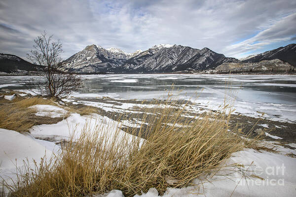 Banff Art Print featuring the photograph Cold Landscapes by Evelina Kremsdorf