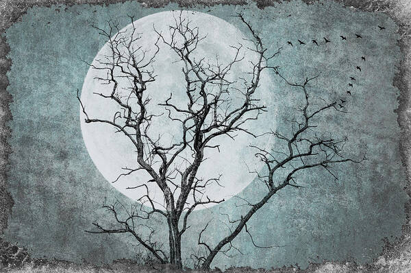 Tree Art Print featuring the photograph Cold Winter Night by Cathy Kovarik