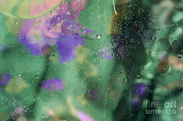 Color Art Print featuring the photograph Color Abstract 4 by Catherine Lau