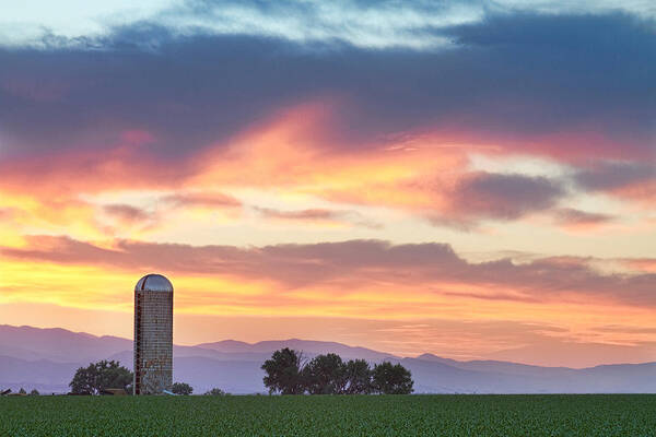 Farms Art Print featuring the photograph Colorado Farmers Sunset by James BO Insogna