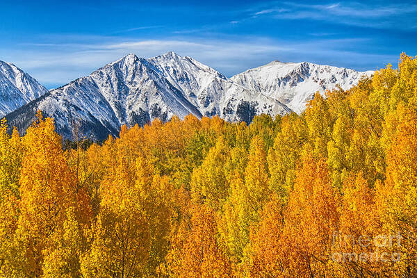 Snow Art Print featuring the photograph Colorado Rocky Mountain Autumn Beauty by James BO Insogna