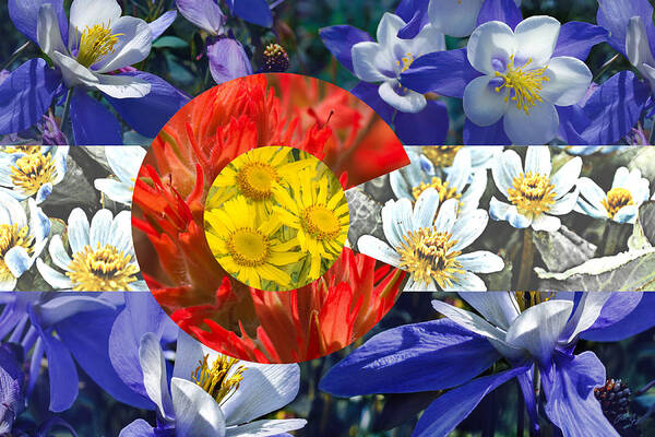 Colorado Art Print featuring the photograph Colorado State Flag with Wildflower Textures by Aaron Spong