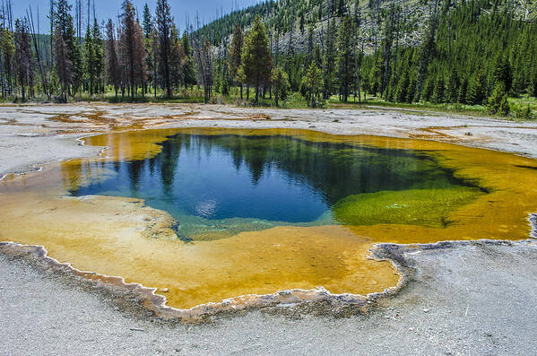 This Was My First Trip To Yellowstone With The Family In The Summer Of 2013 And It Was One Of The Most Magical Trips I've Ever Taken. I Was In Awe Of The Majesty Of Nature And The Amazing Colors Everywhere You Looked. This Reminded Me Of Something Out Of A Fantasy Children's Movie. So Beautiful. Art Print featuring the photograph Colors of Yellowstone by Spencer Hughes