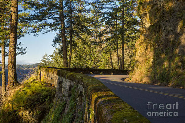 Oregon Art Print featuring the photograph Columbia River Gorge Highway by Brian Jannsen