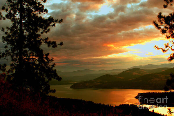 Columbia River Art Print featuring the photograph Columbia River Kettle Falls by Loni Collins