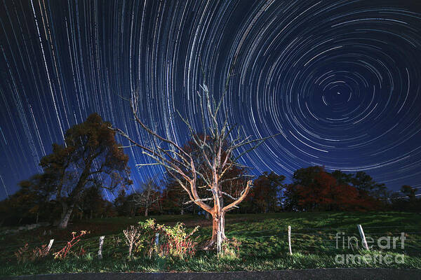 Star Trails Shot At The Blue Ridge Parkway Art Print featuring the photograph Comfortably Numb by Robert Loe