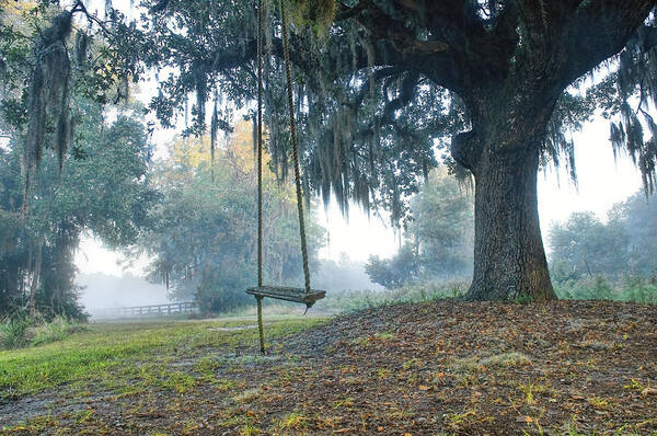 Old Tree Swing Art Print featuring the photograph Coosaw Tree Swing by Scott Hansen