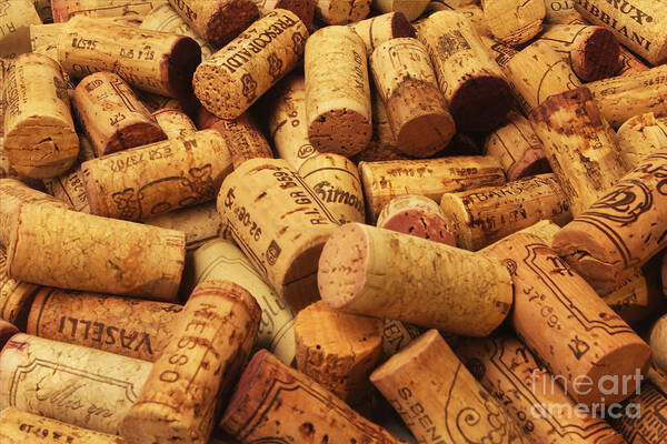 Wine Art Print featuring the photograph Corks by Stefano Senise