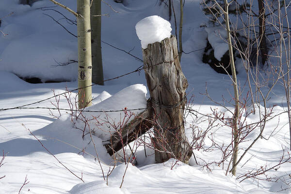 Colorado Photographs Art Print featuring the photograph Corner Post by Gary Benson