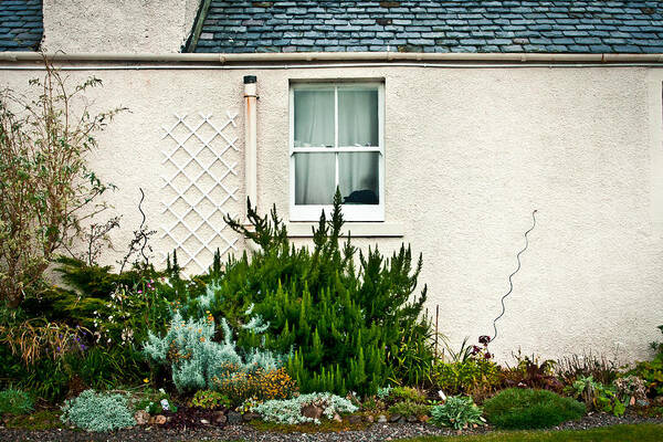 Architecture Art Print featuring the photograph Cottage garden by Tom Gowanlock