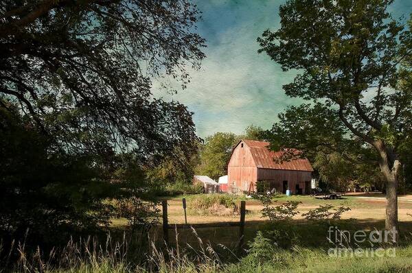 Country Charm Art Print featuring the photograph Country Charm by Liane Wright