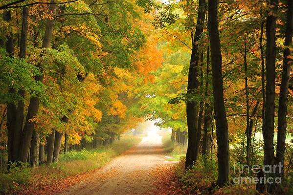 Autumn Art Print featuring the photograph Country Road in Autumn by Terri Gostola