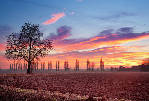 Dawn Art Print featuring the photograph Country Sunset In Winter, Hdr by Rinocdz