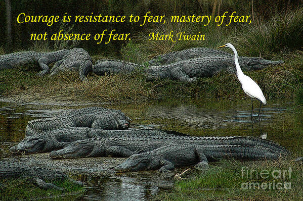 Courage Art Print featuring the photograph Courage and Fear by Gene Bleile Photography 