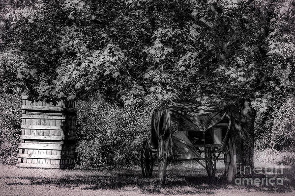 Crates Carriage Tree Western wooden Wheels apple Farm' Daguerreotype Filter Fall Black&white Country indian Ladder altamont Ny Art Print featuring the photograph Crates and Carriage by Julie Palyswiat