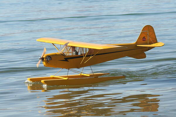 Piper Cub Art Print featuring the photograph Cub on floats by David S Reynolds