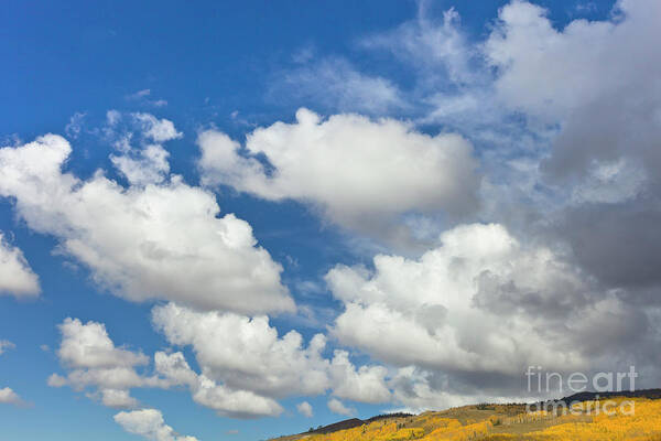 00559138 Art Print featuring the photograph Cumulus Clouds And Aspens by Yva Momatiuk John Eastcott