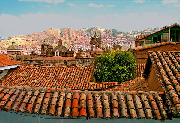 Cusco Art Print featuring the photograph Cusco Rooftops by Rochelle Berman