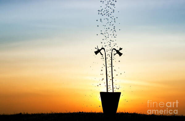 Flowerpot Art Print featuring the photograph Daffodil Dawn by Tim Gainey