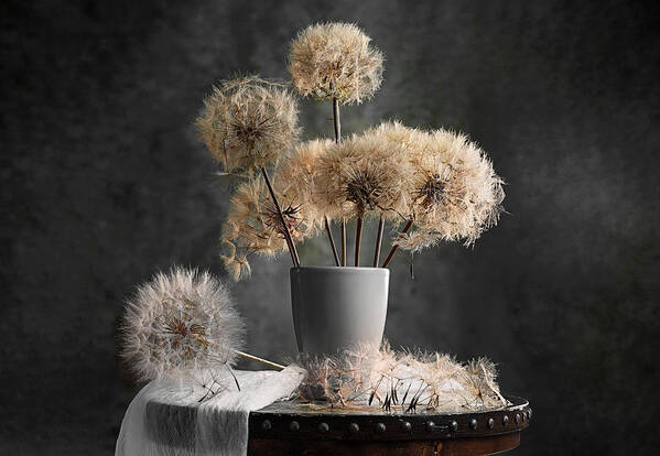 Dandelion Art Print featuring the photograph Dandelion Seed Pod by Lydia Jacobs