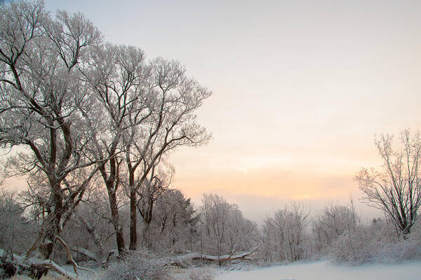 Ithaca Art Print featuring the photograph Dawn's Frosty Arrival by Monroe Payne