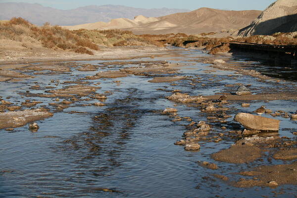 Rivers Art Print featuring the photograph Death Valley by Horst Duesterwald