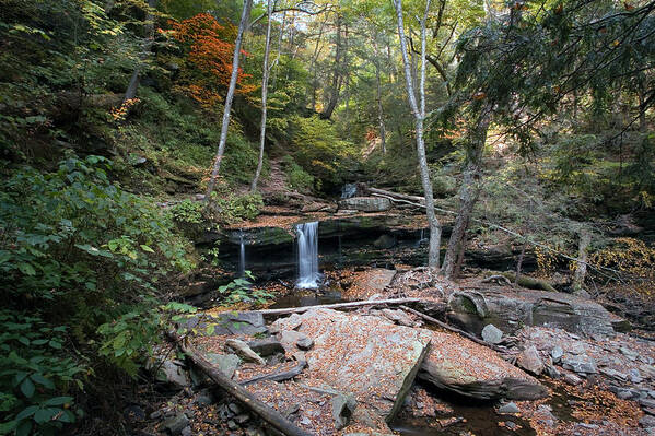 Delaware Art Print featuring the photograph Delaware Falls On A Warm October Day by Gene Walls