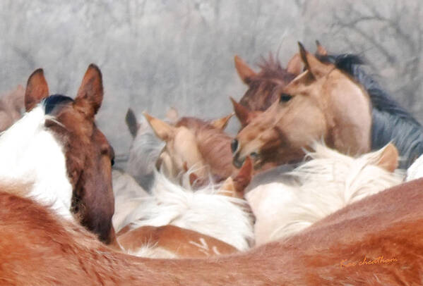 Horses Art Print featuring the photograph Delicate Illusion by Kae Cheatham