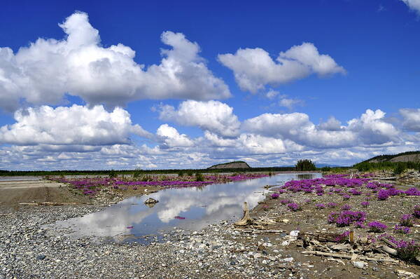 Landscape Art Print featuring the photograph Delta Junction Summer by Cathy Mahnke